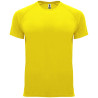 Kit de Entrenamiento